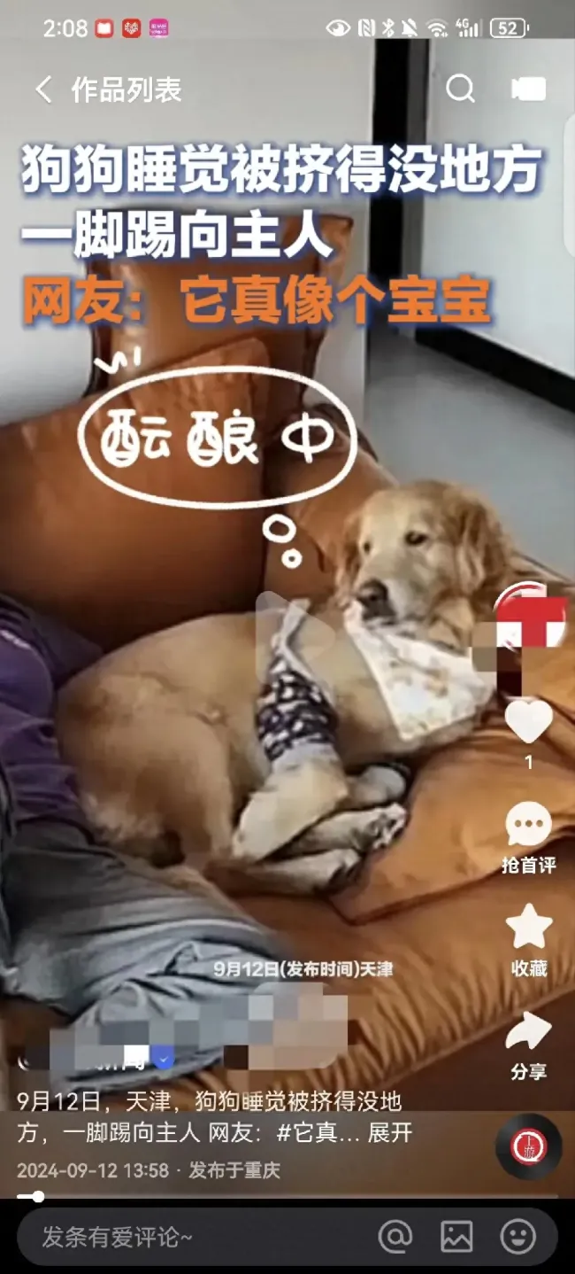 狗狗睡觉被挤得没地方一脚踢向主人